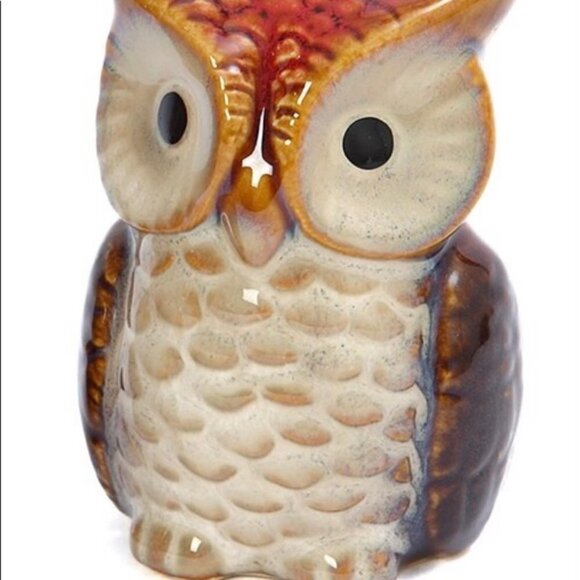 Owl Salt and Pepper Shakers Hand Painted Ceramic Rustic Farmhouse Decorative Set - Picture 10 of 14
